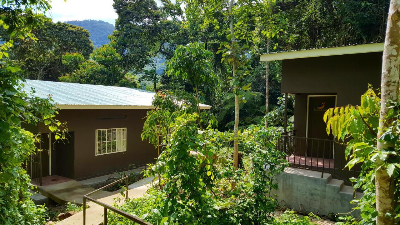 Bwindi Guest House Kinkizi Exterior foto