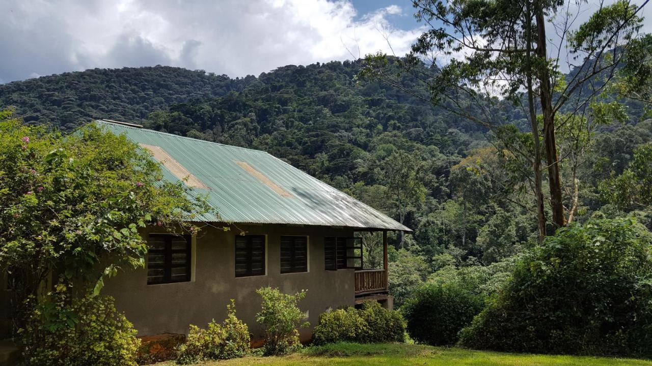 Bwindi Guest House Kinkizi Exterior foto