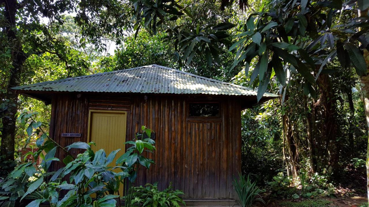 Bwindi Guest House Kinkizi Exterior foto