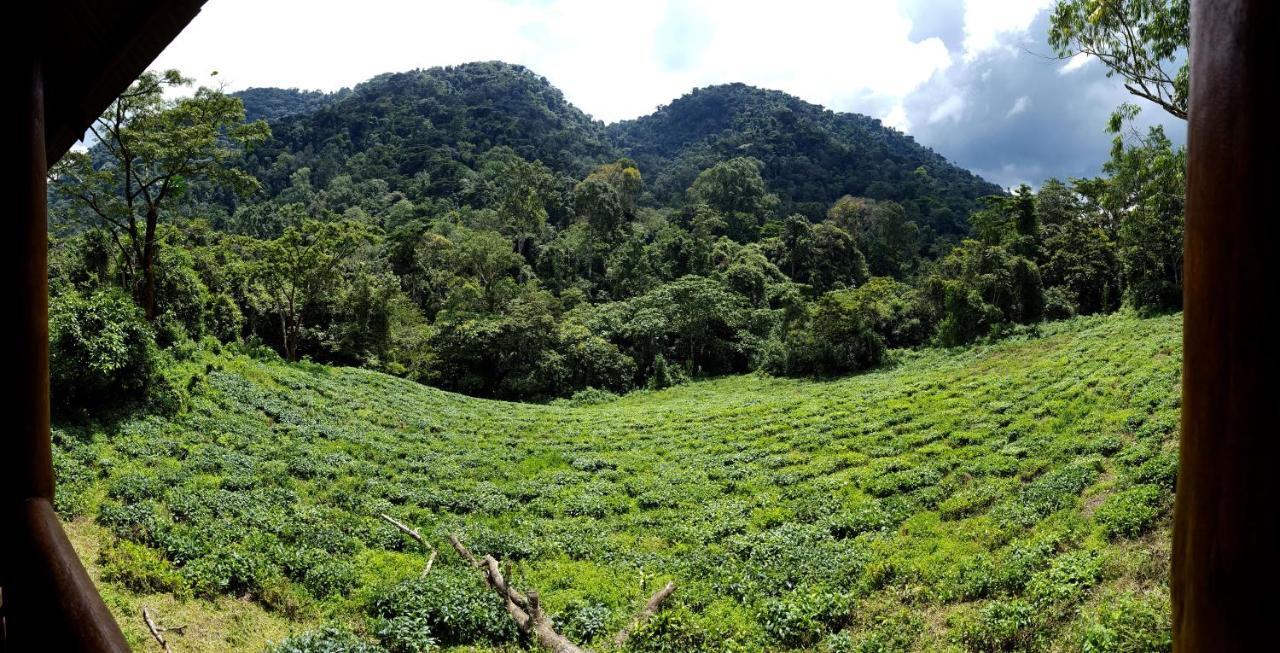 Bwindi Guest House Kinkizi Exterior foto